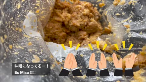 ひよこ豆味噌作ってみた【時短】ヨーグルトメーカー使用