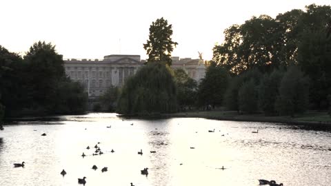 Ducks on Pond in St James Park with Buckingham Palace in the Distance