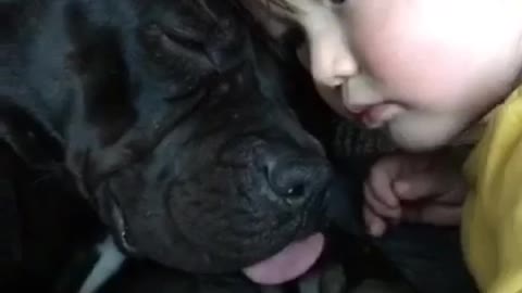 Pit bull loves cuddling with her best friend