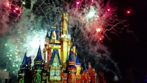 Disney World Fireworks 🎆
