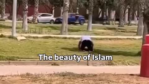 The beauty of Islam 🫀