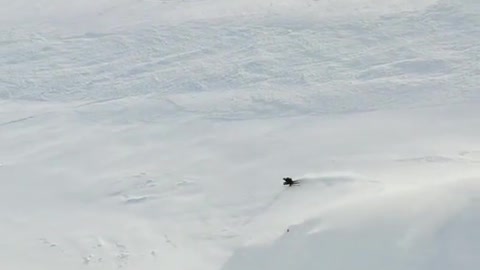 Appreciation of extreme skiing action