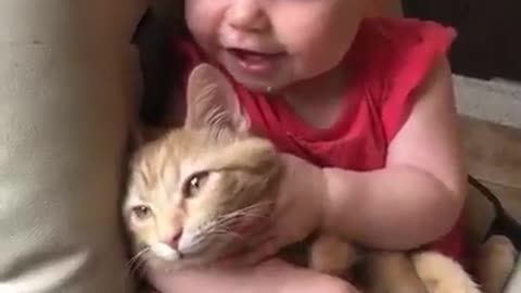 Kids playing with cat so happy! This is a very good cat