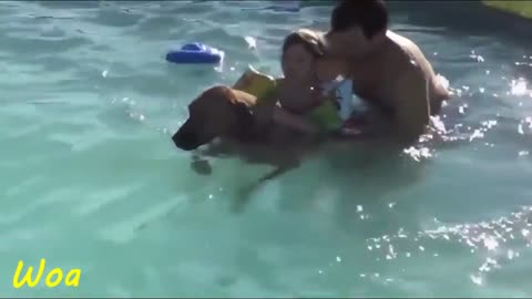 Dog And Baby Take A Swim Very Funny Time