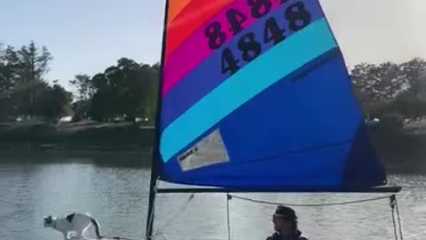 Backyard sailing on the dinghy with Fathom the boat cat!