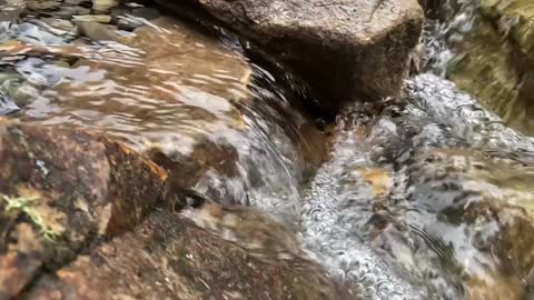 New Pond & Waterfall