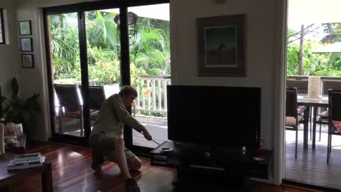 Six-Foot Carpet Python Under TV