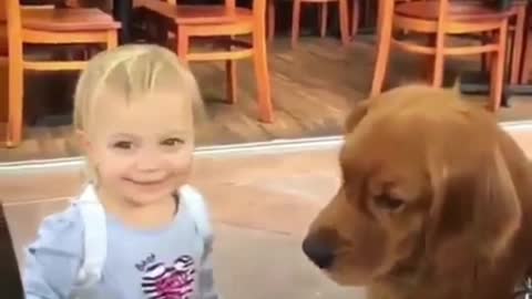 The dog wants to shake hands with the baby, but the baby wants to give the dog a high five.
