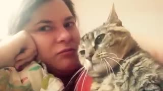 Cat says No to kisses on the head