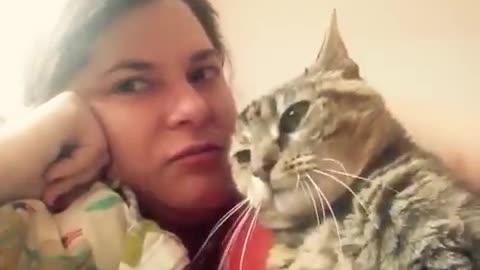 Cat says No to kisses on the head