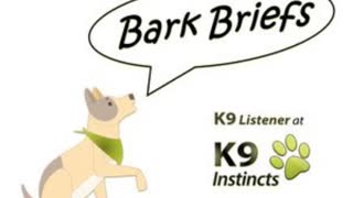 Bark Briefs - How to Help Your Dog Relax