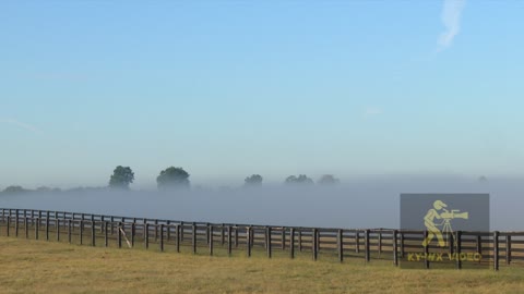 Fog on a KY Horse Farm