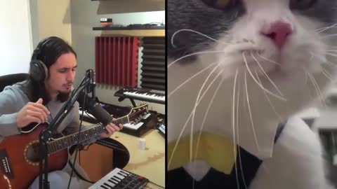 The Kiffness X Big Billy (Live Looping Talking Cat Remix)