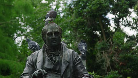 Pigeons on the head of statue | Piccioni sulla testa della statua, "cagare in testa"