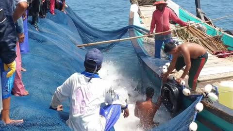 Penangkapan ikan tuna!!!