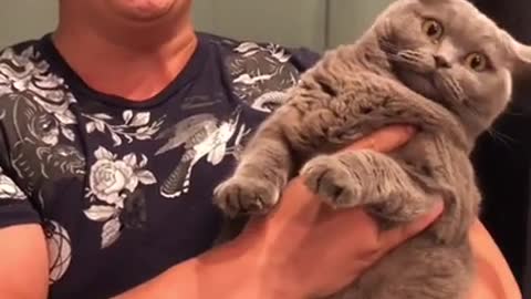 Cat Swoons for Sweet Singing