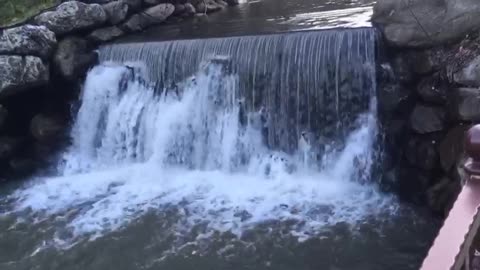 water bridge