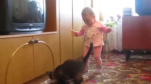 Mama Cat Takes Back Crying Kitten From Toddler