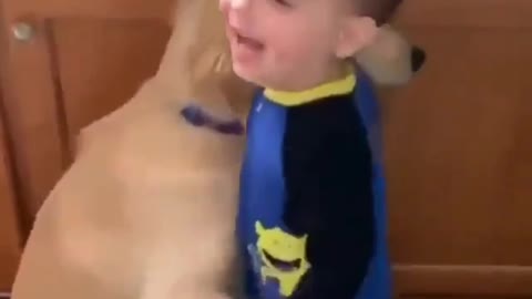 Dog Hugging Baby, dog and baby hug