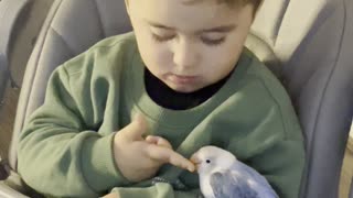 A Lovebird and His Best Friend