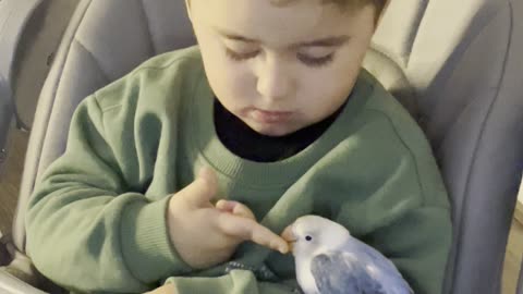 A Lovebird and His Best Friend