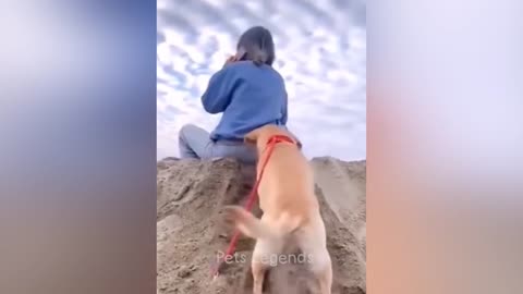🤣Funniest videos and 😂cats and dogs