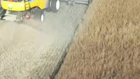 Farming video