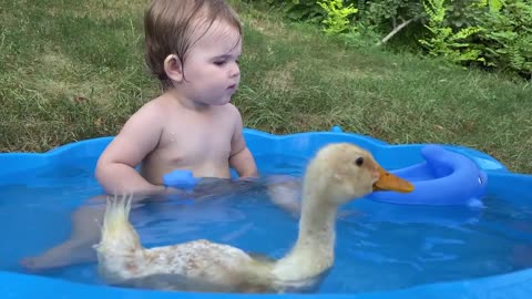 Funny Baby Reaction to Duckling in the Pool_HD