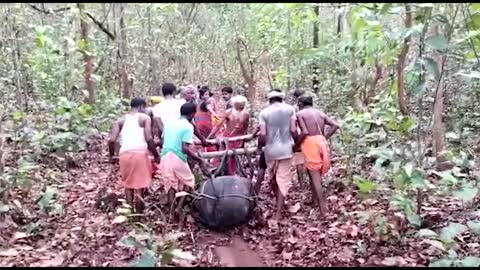 Dayalu Baba Carrying a Devi Shila from the Salandi River