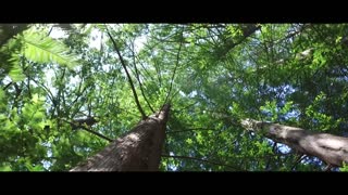 Inertia Films: Nature Reel
