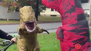 Dino battles