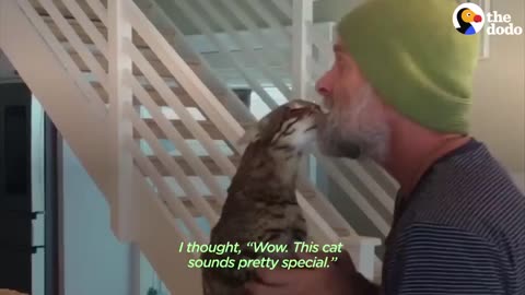 Cat Who Spent 18 Years As His Dad’s Only Child Gets A Human Brother ｜ The Dodo_p2