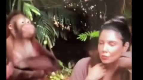 OMG! Monkey harassing a girl in front of the camera