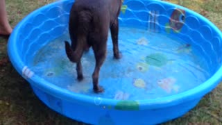 He really loves the water.