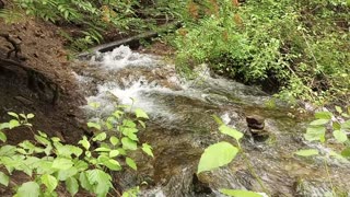 Spring Hollow, Logan Canyon