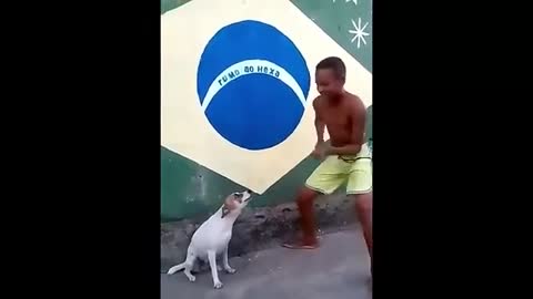 No solo nosotros Sabemos Bailar... Perrito Bailando