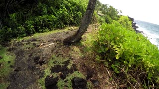 Maui Road to Hana July 2016