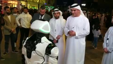 Humanoid Robot speaks arabic in Dubai RoboFest