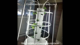 TowerGarden of Babylon!