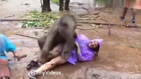 Funny girl Fails | funny zoo Animals