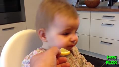 Babies Eating Lemons for the First Time Compilation r