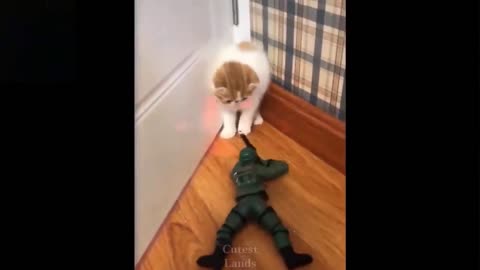 Funny (Smart) Cats Be Like | Funny Animals TikTok Videos