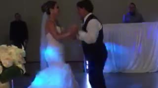 Father And Daughter Share Adorably Hilarious Wedding Dance