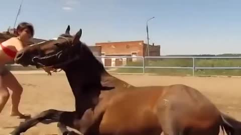 Girl Vs Horse 😂 Funny video