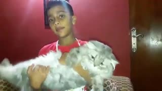 A Little Boy Vaccination And Preparing To His Cat