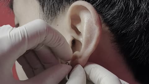 Upper Lobe Piercing | Xỏ Khuyên Tai Cơ Bản