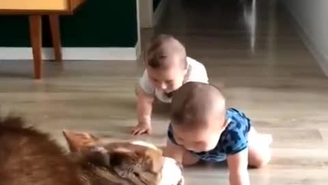 This dog wants to abuse a baby and eat it !!!! Watch what happened?
