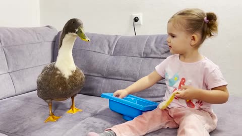 Have_You_Ever_Seen_a_Baby_Giving_Water_to_a_Duck