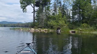 Kayaking and loon calls