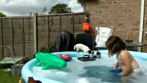 Epic fail dog trying to get ball out the pool